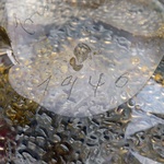 2 Ercole Barovier RUGIADOSO Bowls / Vessels, Murano, Priced Each